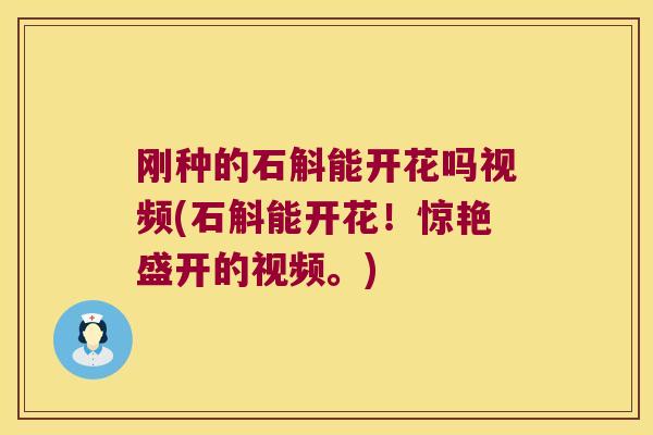 刚种的石斛能开花吗视频(石斛能开花！惊艳盛开的视频。)