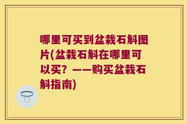 哪里可买到盆栽石斛图片(盆栽石斛在哪里可以买？——购买盆栽石斛指南)