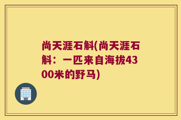 尚天涯石斛(尚天涯石斛:一匹来自海拔4300米的野马) 尚天涯石斛(尚天涯石斛:一匹来自海拔4300米的野马)