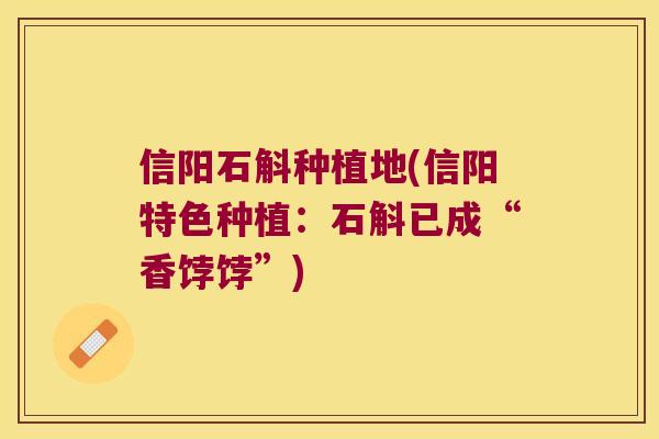 信阳石斛种植地(信阳特色种植：石斛已成“香饽饽”)