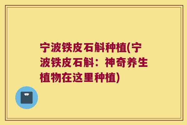 宁波铁皮石斛种植(宁波铁皮石斛：神奇养生植物在这里种植)