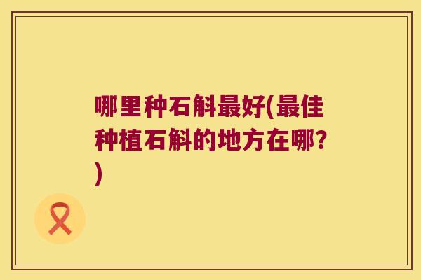 哪里种石斛好(佳种植石斛的地方在哪？)