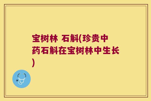 宝树林 石斛(珍贵石斛在宝树林中生长)