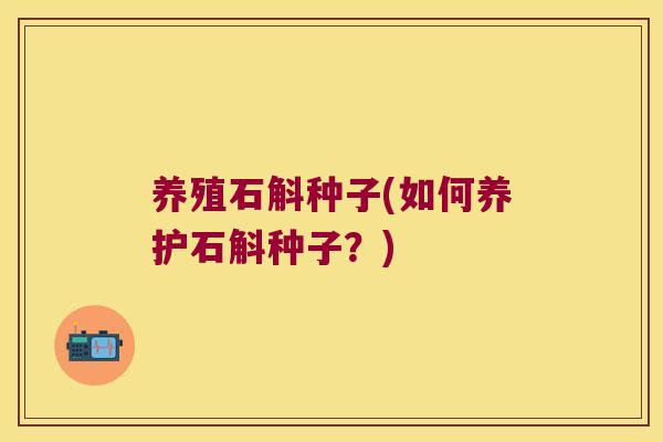 养殖石斛种子(如何养护石斛种子？)
