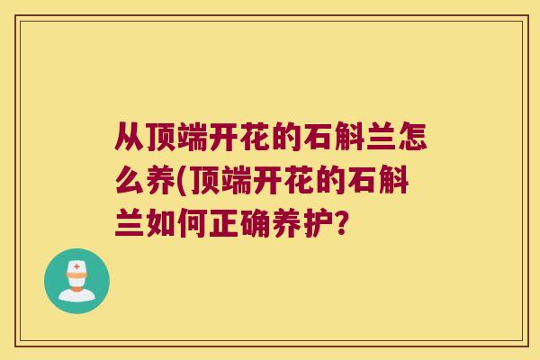从顶端开花的石斛兰怎么养(顶端开花的石斛兰如何正确养护？