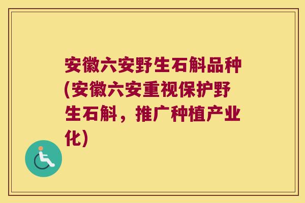 安徽六安野生石斛品种(安徽六安重视保护野生石斛，推广种植产业化)
