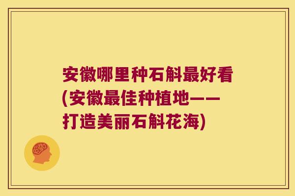 安徽哪里种石斛好看(安徽佳种植地——打造美丽石斛花海)