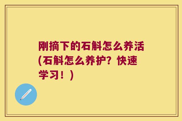 刚摘下的石斛怎么养活(石斛怎么养护？快速学习！)