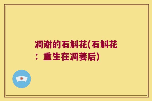 凋谢的石斛花(石斛花：重生在凋萎后)