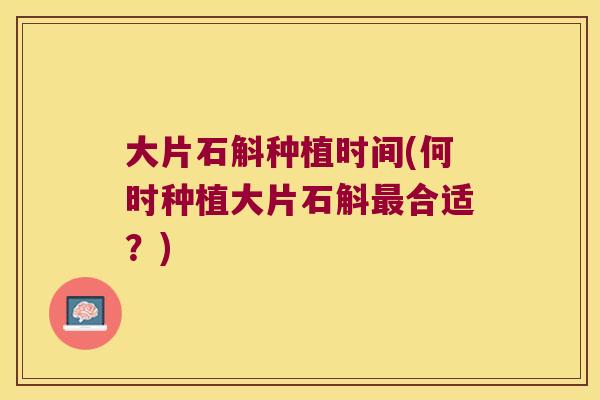 大片石斛种植时间(何时种植大片石斛合适?) 大片石斛种植时间(何时种植大片石斛合适?)