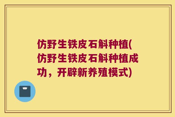 仿野生铁皮石斛种植(仿野生铁皮石斛种植成功，开辟新养殖模式)