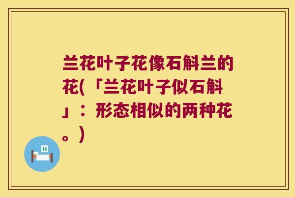 兰花叶子花像石斛兰的花(「兰花叶子似石斛」：形态相似的两种花。)