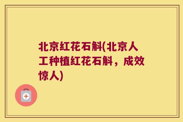 北京红花石斛(北京人工种植红花石斛，成效惊人)