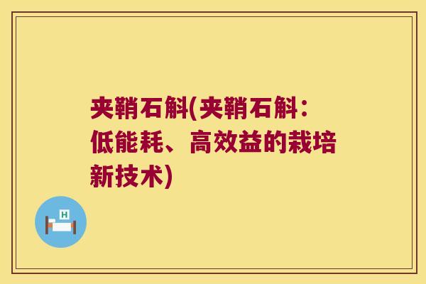夹鞘石斛(夹鞘石斛：低能耗、高效益的栽培新技术)