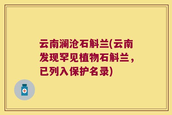 云南澜沧石斛兰(云南发现罕见植物石斛兰,已列入保护名录) 云南澜沧石斛兰(云南发现罕见植物石斛兰,已列入保护名录)