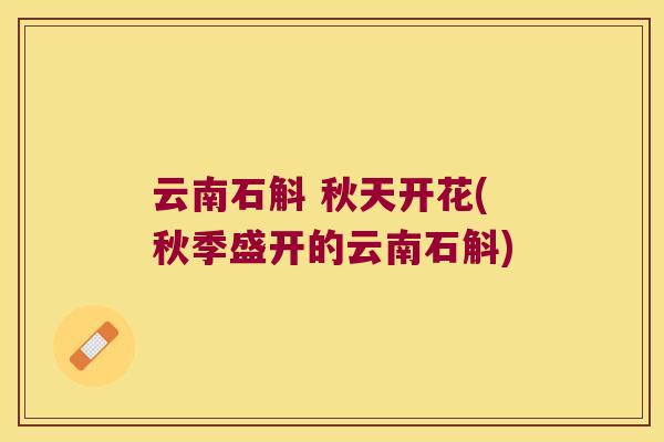 云南石斛 秋天开花(秋季盛开的云南石斛)