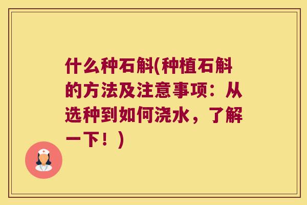 什么种石斛(种植石斛的方法及注意事项：从选种到如何浇水，了解一下！)
