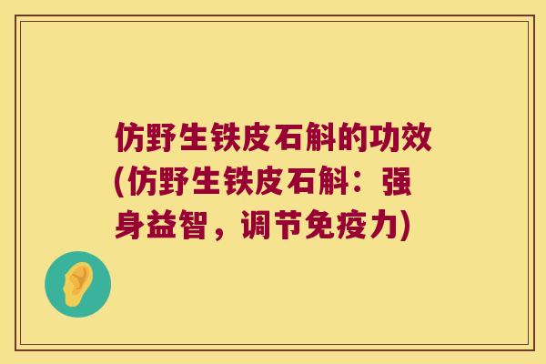 仿野生铁皮石斛的功效(仿野生铁皮石斛：强身益智，调节力)