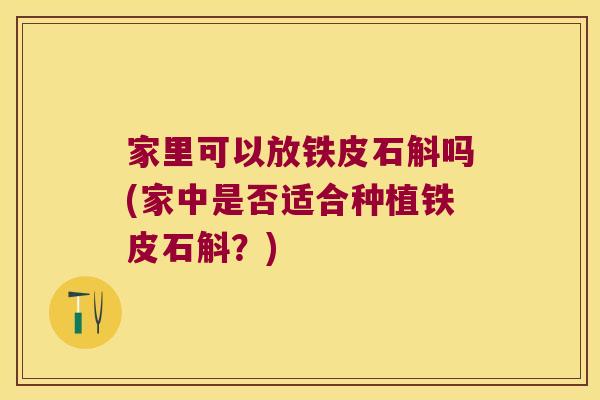 家里可以放铁皮石斛吗(家中是否适合种植铁皮石斛?) 家里可以放铁皮石斛吗(家中是否适合种植铁皮石斛?)