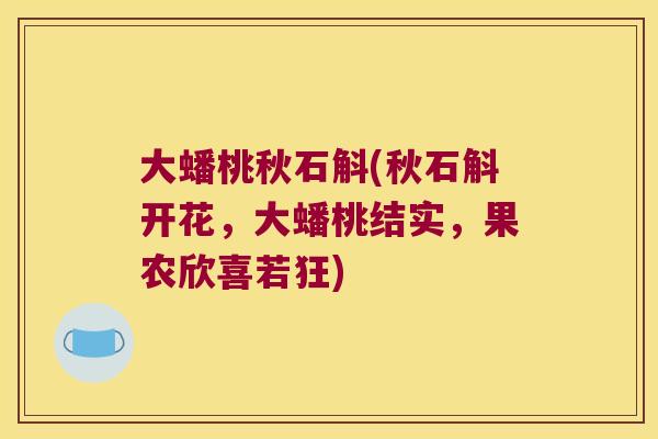 大蟠桃秋石斛(秋石斛开花，大蟠桃结实，果农欣喜若狂)