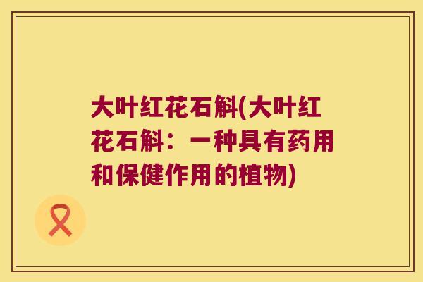 大叶红花石斛(大叶红花石斛：一种具有药用和保健作用的植物)