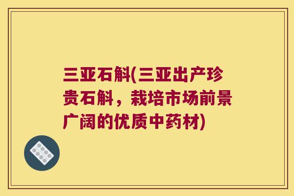 三亚石斛(三亚出产珍贵石斛,栽培市场前景广阔的优质材) 三亚石斛(三亚出产珍贵石斛,栽培市场前景广阔的优质材)