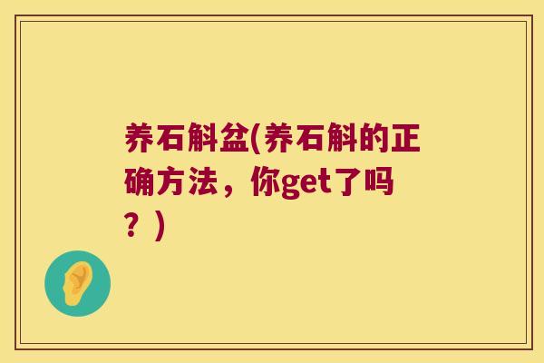 养石斛盆(养石斛的正确方法,你get了吗?) 养石斛盆(养石斛的正确方法,你get了吗?)