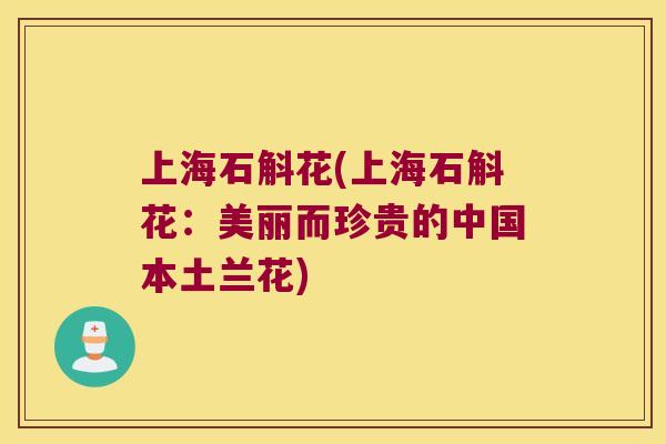 上海石斛花(上海石斛花：美丽而珍贵的中国本土兰花)