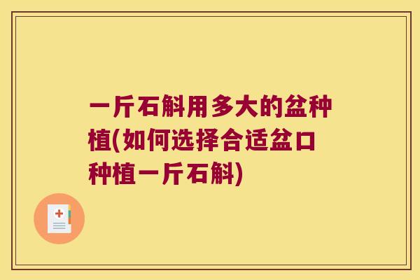 一斤石斛用多大的盆种植(如何选择合适盆口种植一斤石斛)