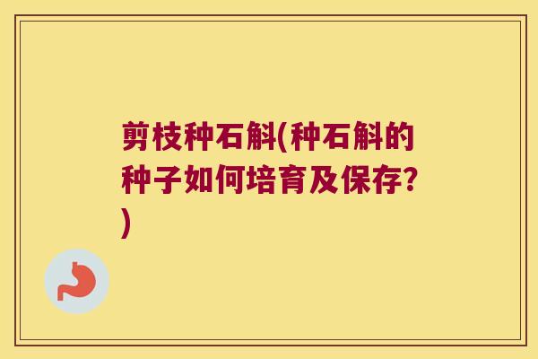 剪枝种石斛(种石斛的种子如何培育及保存？)