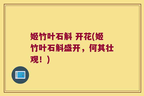 姬竹叶石斛 开花(姬竹叶石斛盛开，何其壮观！)