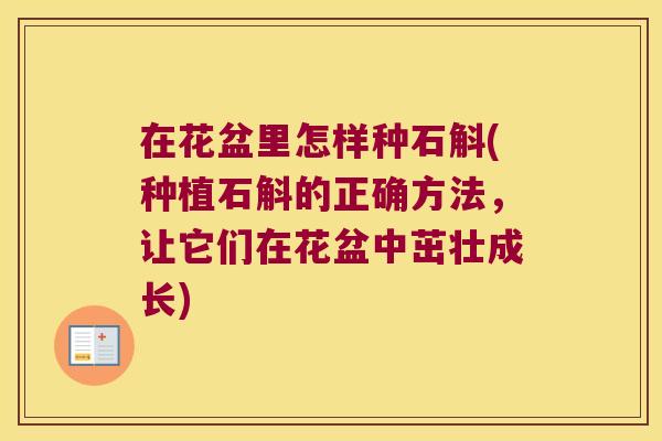 在花盆里怎样种石斛(种植石斛的正确方法，让它们在花盆中茁壮成长)