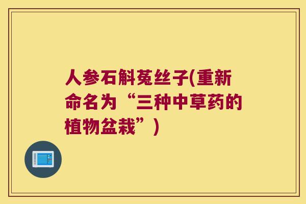 人参石斛菟丝子(重新命名为“三种中草药的植物盆栽”)