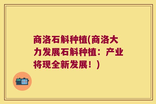商洛石斛种植(商洛大力发展石斛种植：产业将现全新发展！)