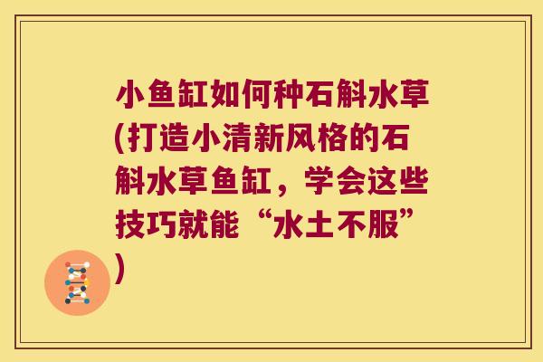 小鱼缸如何种石斛水草(打造小清新风格的石斛水草鱼缸，学会这些技巧就能“水土不服”)