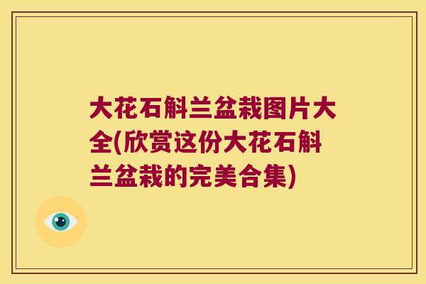 大花石斛兰盆栽图片大全(欣赏这份大花石斛兰盆栽的完美合集)