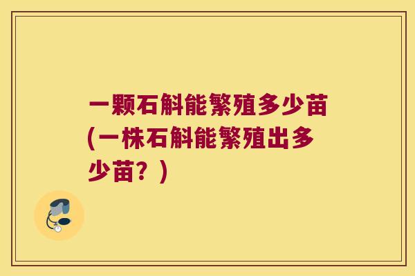 一颗石斛能繁殖多少苗(一株石斛能繁殖出多少苗？)