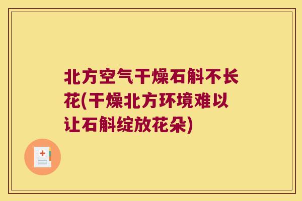 北方空气干燥石斛不长花(干燥北方环境难以让石斛绽放花朵)