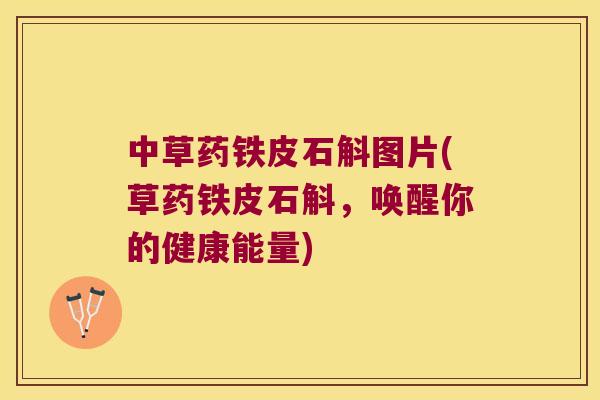 中草药铁皮石斛图片(草药铁皮石斛，唤醒你的健康能量)