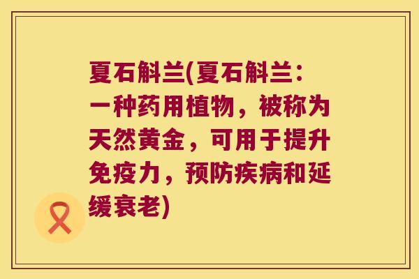 夏石斛兰(夏石斛兰:一种药用植物,被称为天然黄金,可用于提升力,和延缓) 夏石斛兰(夏石斛兰:一种药用植物,被称为天然黄金,可用于提升力,和延缓)