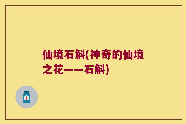 仙境石斛(神奇的仙境之花——石斛)