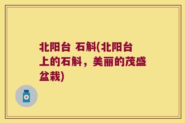 北阳台 石斛(北阳台上的石斛，美丽的茂盛盆栽)