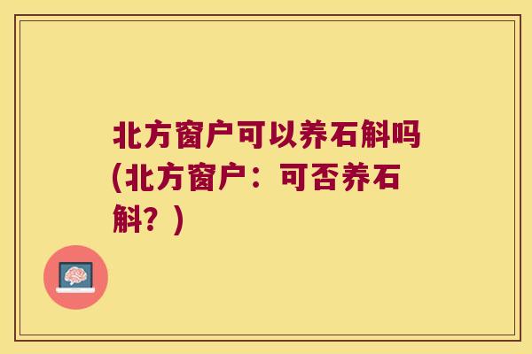 北方窗户可以养石斛吗(北方窗户：可否养石斛？)