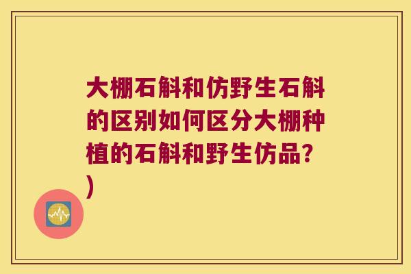 大棚石斛和仿野生石斛的区别如何区分大棚种植的石斛和野生仿品？)