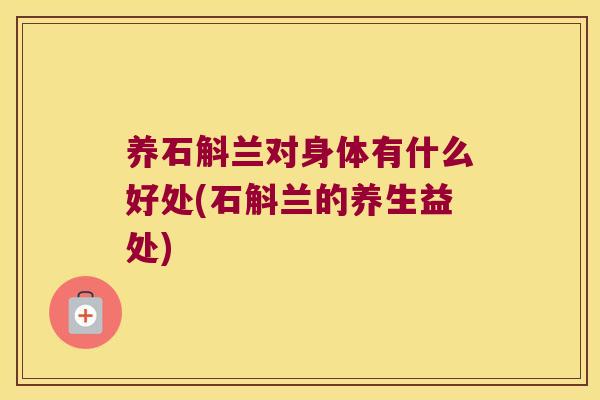 养石斛兰对身体有什么好处(石斛兰的养生益处)