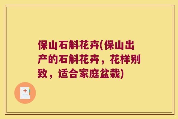 保山石斛花卉(保山出产的石斛花卉，花样别致，适合家庭盆栽)