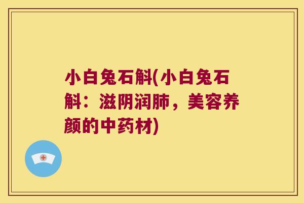 小白兔石斛(小白兔石斛：滋阴润肺，美容养颜的中药材)