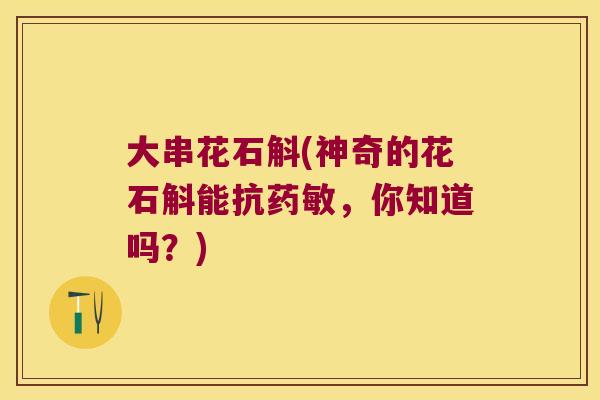 大串花石斛(神奇的花石斛能抗药敏,你知道吗?) 大串花石斛(神奇的花石斛能抗药敏,你知道吗?)