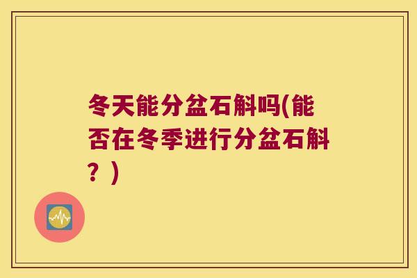 冬天能分盆石斛吗(能否在冬季进行分盆石斛？)