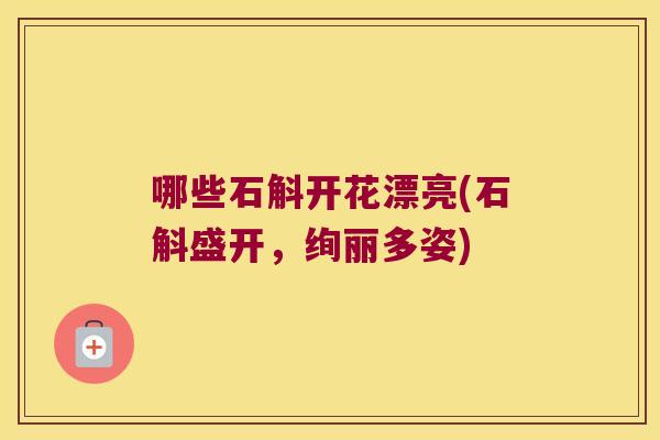 哪些石斛开花漂亮(石斛盛开，绚丽多姿)